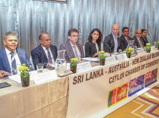 29TH ANNUAL GENERAL MEETING