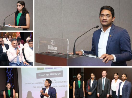 Vision for FDI 2025