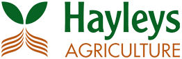logo (2)